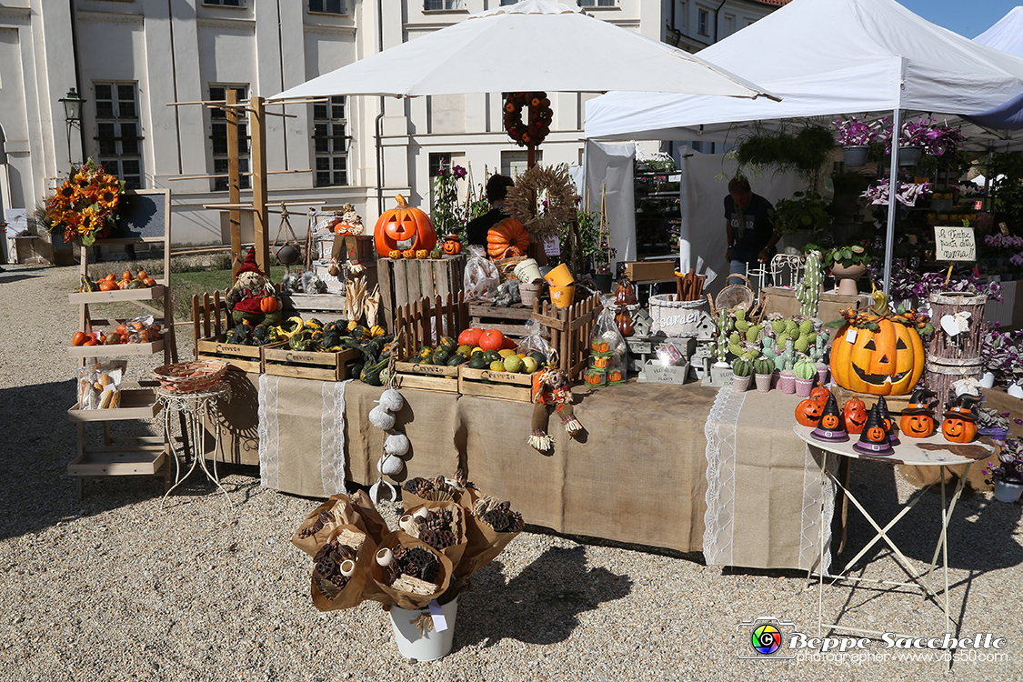 VBS_2397 - FloReal 2021 alla Palazzina di Caccia di Stupinigi.jpg